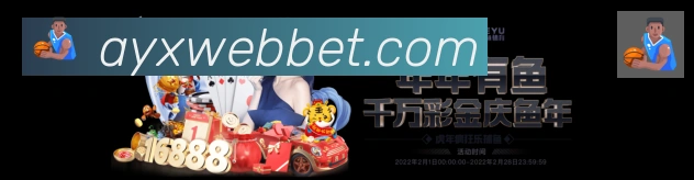 战术分析频道